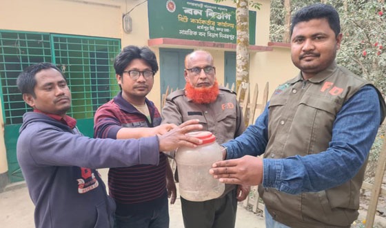 বিরলে বিষধর সাপ রাসেল ভাইপার হস্তান্তর