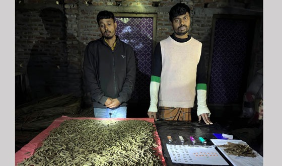 রাজারহাটে গাঁজা ও ইয়াবাসহ ২ মাদক কারবারি আটক