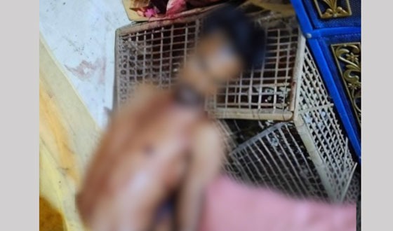 চট্টগ্রামে ৫ম বিয়ে করায় ৪র্থ স্ত্রীর হাতে স্বামী খুন