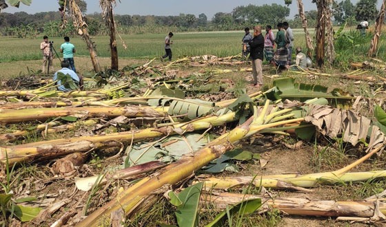 মধুখালীতে কৃষকের জমি দখলের চেষ্টার অভিযোগ