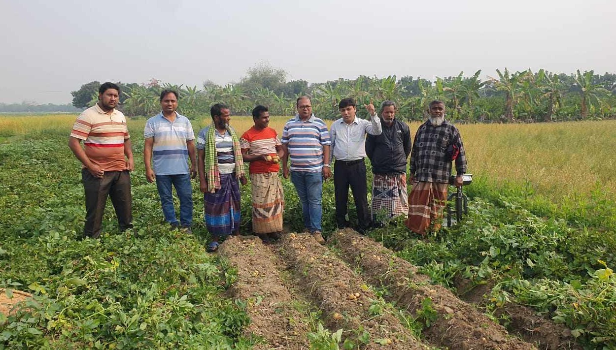 নেদারল্যান্ডের আলু ভ্যালেন্সিয়া চাষ করে লাভবান কৃষকরা
