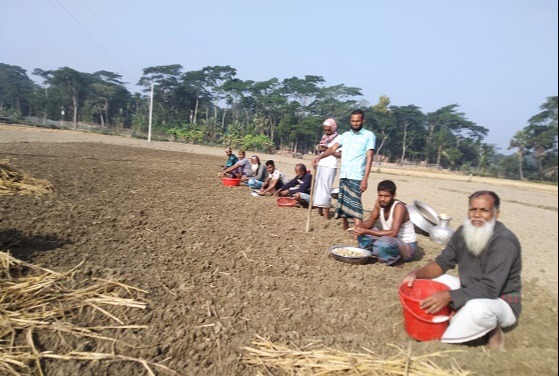 আলু চাষে ভাগ্য বদলের স্বপ্ন দেখছেন কৃষকেরা