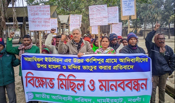 ধামইরহাটে আদিবাসীদের বিক্ষোভ মিছিল ও মানববন্ধন