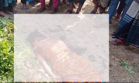 শেরপুরে যুবতীর গলাকাটা লাশ উদ্ধার