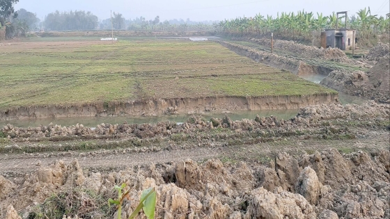 পুঠিয়ায় অবৈধ পুকুর খননের হিড়িক