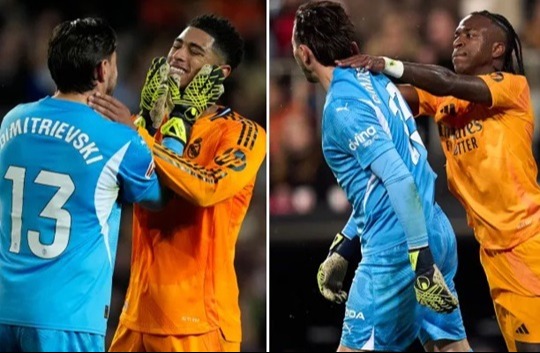 দুই ম্যাচের জন্য নিষিদ্ধ হলেন ভিনি