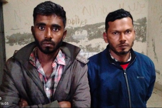 কাপাসিয়ায় চোরাই গরুসহ গ্রেফতার ২