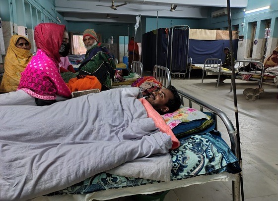 পোরশায় মৌমাছির কামড়ে অন্তত আহত-২০