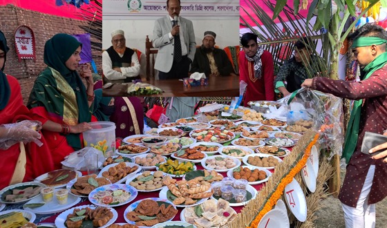 শরণখোলা সরকারী ডিগ্রী কলেজে পিঠা উৎসব