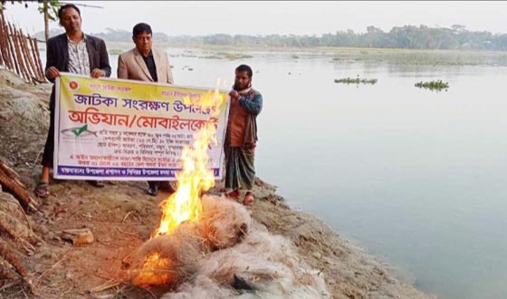 কালকিনিতে লক্ষাধিক টাকার অবৈধ কারেন্ট জাল জব্দ