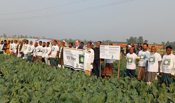 গাবতলীতে মীরাসীড লিমিটেডের কৃষক মাঠ দিবস