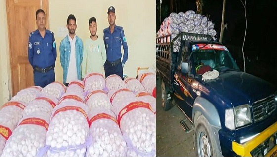 দোয়ারাবাজার সীমান্তে রসুন পাচারের চেষ্টাকালে গ্রেফতার ২