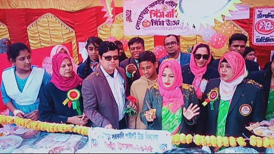 লোহাগড়ায় দিনব্যাপী পিঠা উৎসব ও পুরস্কার বিতরণ