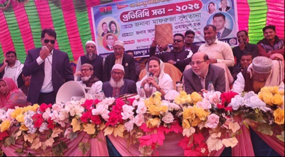 দৌলতখানে বিএনপি'র প্রতিনিধি সভা