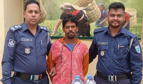 শ্রীমঙ্গলে চোলাই মদসহ মাদক কারবারি গ্রেফতার