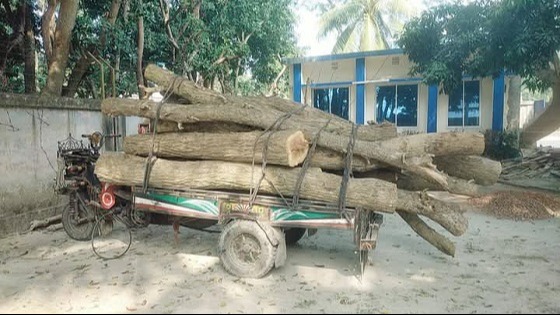 সরকারী গাছ কেটে নেয়ার  সময় চালক আটক