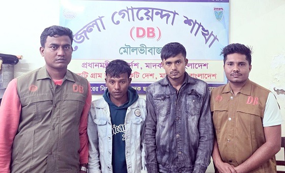 মৌলভীবাজারে ভারতীয় চিনিসহ আটক ২