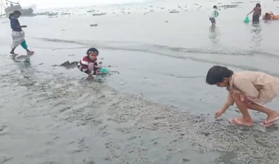 মরে ভেসে উঠছে নদীর মাছ