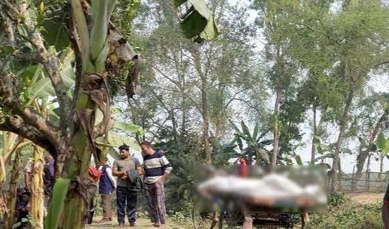 কুষ্টিয়া এক রাজমিস্ত্রিকে কুপিয়ে হত্যা