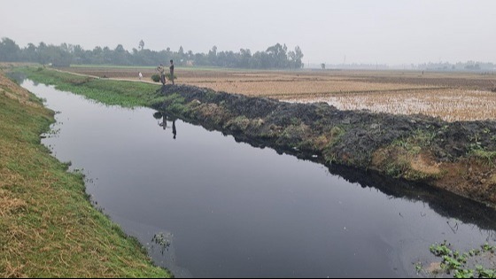 মাধবপুরে শিল্পকারখানার বর্জ্য গিলে খাচ্ছে রাজখাল