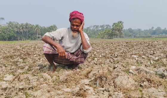 পানি সংকটে বোরোধান রোপণ করতে পারছে না কৃষক