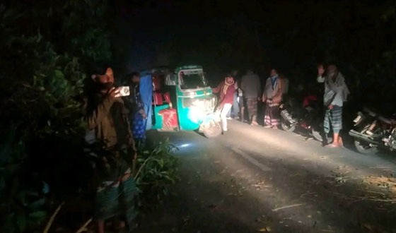 নন্দীগ্রামে সড়কে গাছ কেটে গণ ডাকাতি