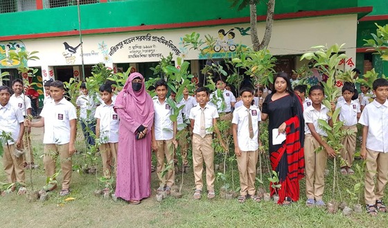 নাজিরপুরে কৃষক ও ছাত্র-ছাত্রীদের মাঝে চারা বিতরণ