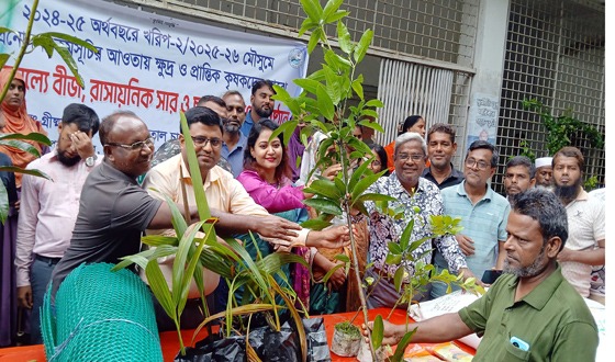 বিনামূল্যে গাছের চারা বিতরণ