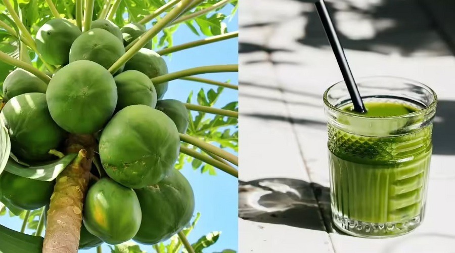 ওজন নিয়ন্ত্রণে খেতে পারেন কাঁচা পেঁপের জুস