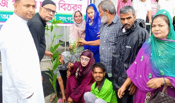 টাঙ্গাইলে বিভিন্ন স্কুল কলেজে বিনামূল্যে গাছের চারা বিতরণ