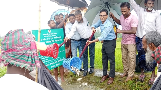 বাগমারায় বিল নার্সারিতে উৎপাদিত পোনা মাছ অবমুক্ত