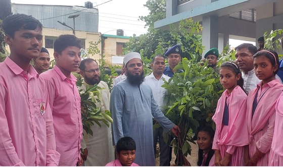সবুজে ঘেরা মৌলভীবাজার জেলাকে আরও সবুজময় করতে চাই