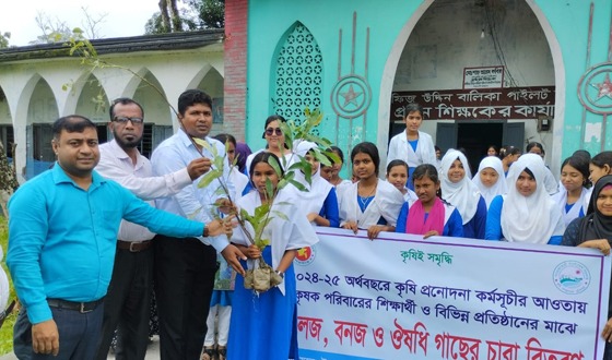 আমতলীতে শিক্ষা প্রতিষ্ঠানে গছের চারা বিতরণ