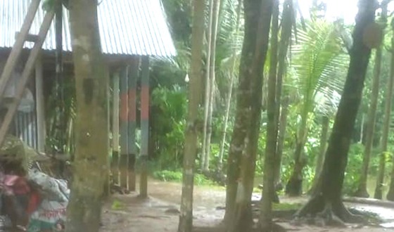 ত্রিশালে আ’লীগ নেতার বিরুদ্ধে সরকারী রাস্তা বন্ধের অভিযোগ