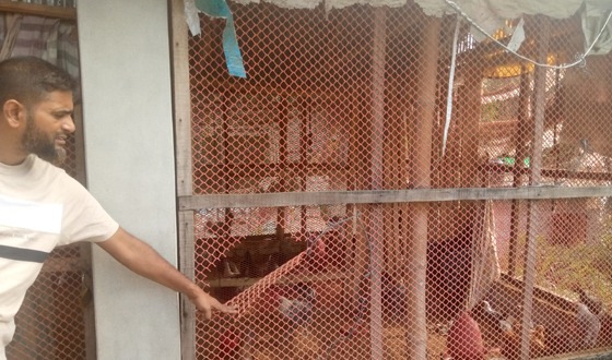 দিঘলিয়ায় এক খামার থেকে মুরগী ও পায়রা চুরি