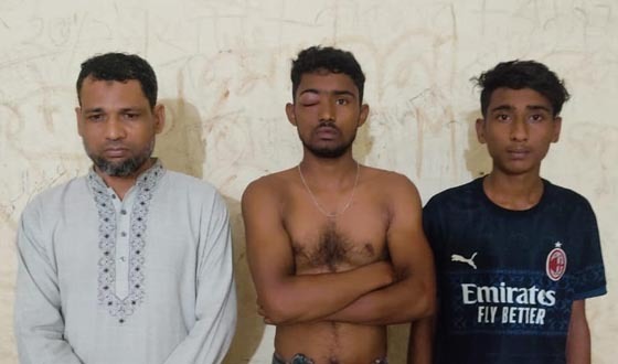 সেনবাগে সালিশি বৈঠকে মারামারির ঘটনায় গ্রেফতার ৪