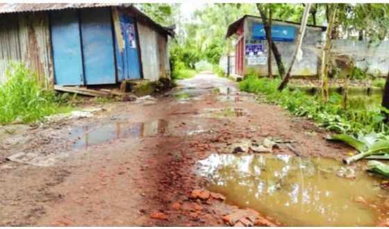চন্দনাইশ হারলা নিধারামপুর সড়কের বেহাল অবস্থা
