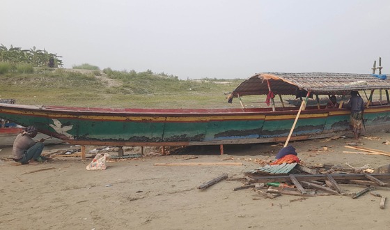 সুজানগরে নৌকার কদর বাড়ছে