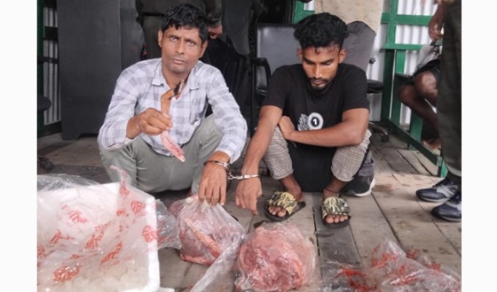 শরণখোলায় হরিণের মাংসসহ আটক ২