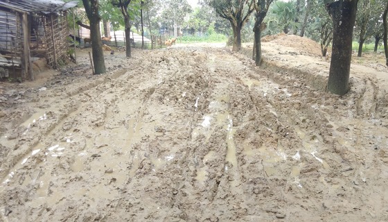 পোরশায় ২০ গ্রামে পাকা রাস্তা নেই, হাজারো মানুষের দূর্ভোগ