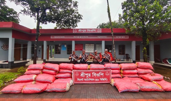 সিলেটে ২ কোটি ৬৫ লক্ষ টাকার চোরাচালানী মালামাল আটক
