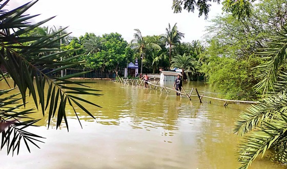 নৈর নদীতে সেতু নির্মাণের দাবি, বাঁশের সাঁকোতে ঝুঁকি নিয়ে পারাপার