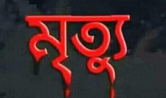বেপরোয়া পিকআপের চাপায় বৃদ্ধার মৃত্যু