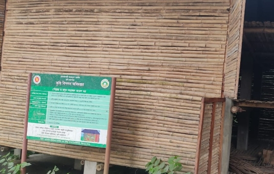 সংরক্ষণাগার খালি, পেঁয়াজ পচছে কৃষকের ঘরে