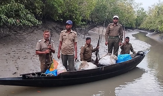 সুন্দরবনে অবৈধ জাল সহ নৌকা জব্দ