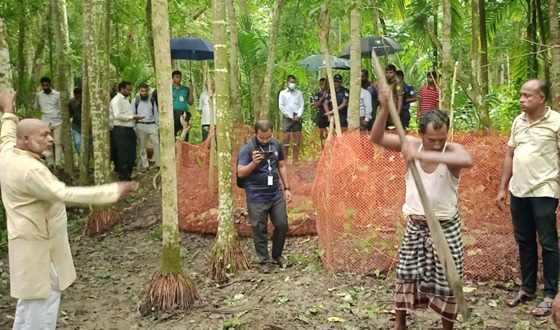 ১৪ বছর পর কাউখালীতে ব্যবসায়ী মুরাদের লাশ উত্তোলন
