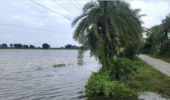 বিএডিসির খাল এখন কৃষকের গলার কাঁটা