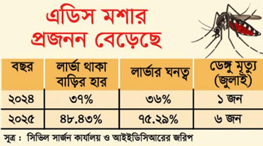 ভয়াবহতার মূলে এডিস মশার অস্বাভাবিক প্রজনন