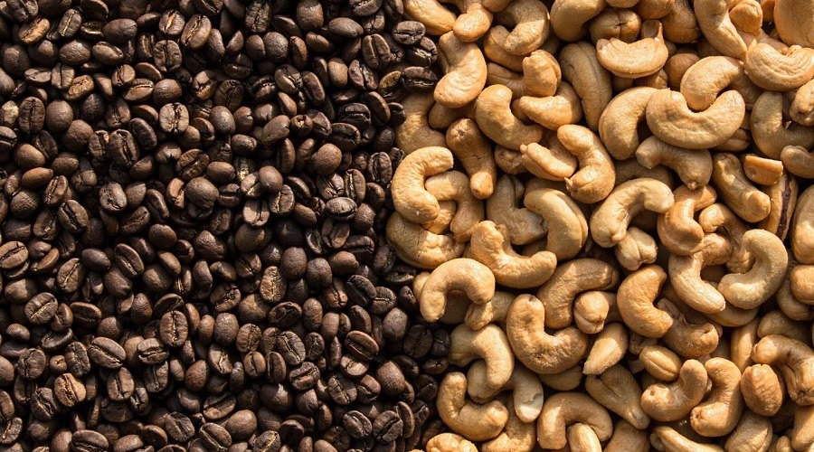 বাংলাদেশে কফি ও কাজুবাদাম চাষে সম্ভাবনার নতুন দিগন্ত