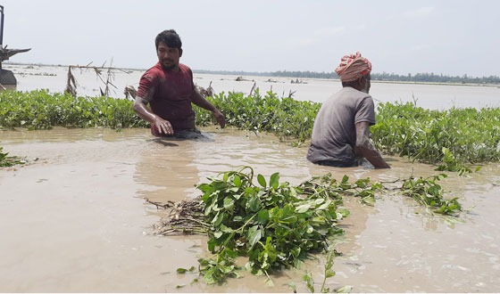 কুড়িগ্রামে বৃষ্টি-বন্যাতে ৩ কোটি ২৬ লাখ টাকার ক্ষয়ক্ষতি